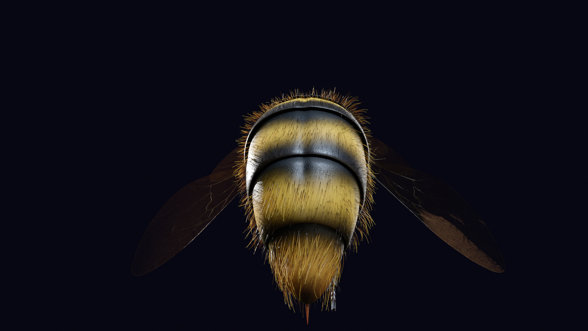 Animated Worker Bee Rig Flight Cycle 4K PBR 3D model_8