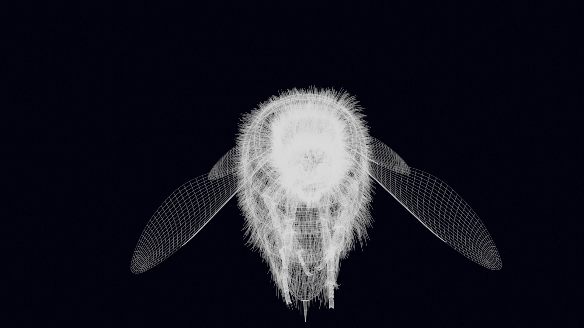 Animated Worker Bee Rig Flight Cycle 4K PBR 3D model_25