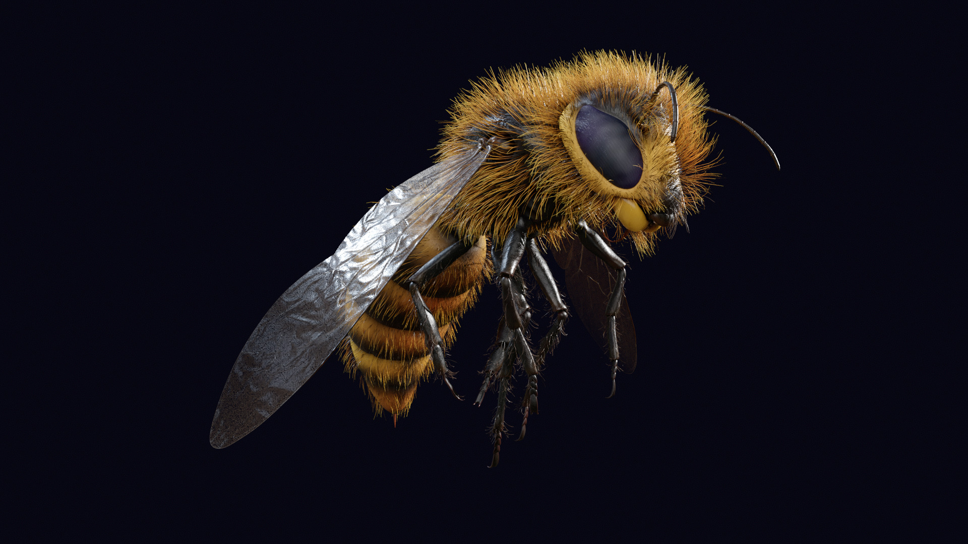 Animated Worker Bee Rig Flight Cycle 4K PBR 3D model_11