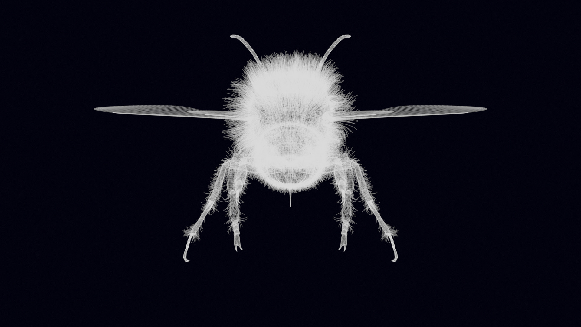 Animated Worker Bee Rig Flight Cycle 4K PBR 3D model_22