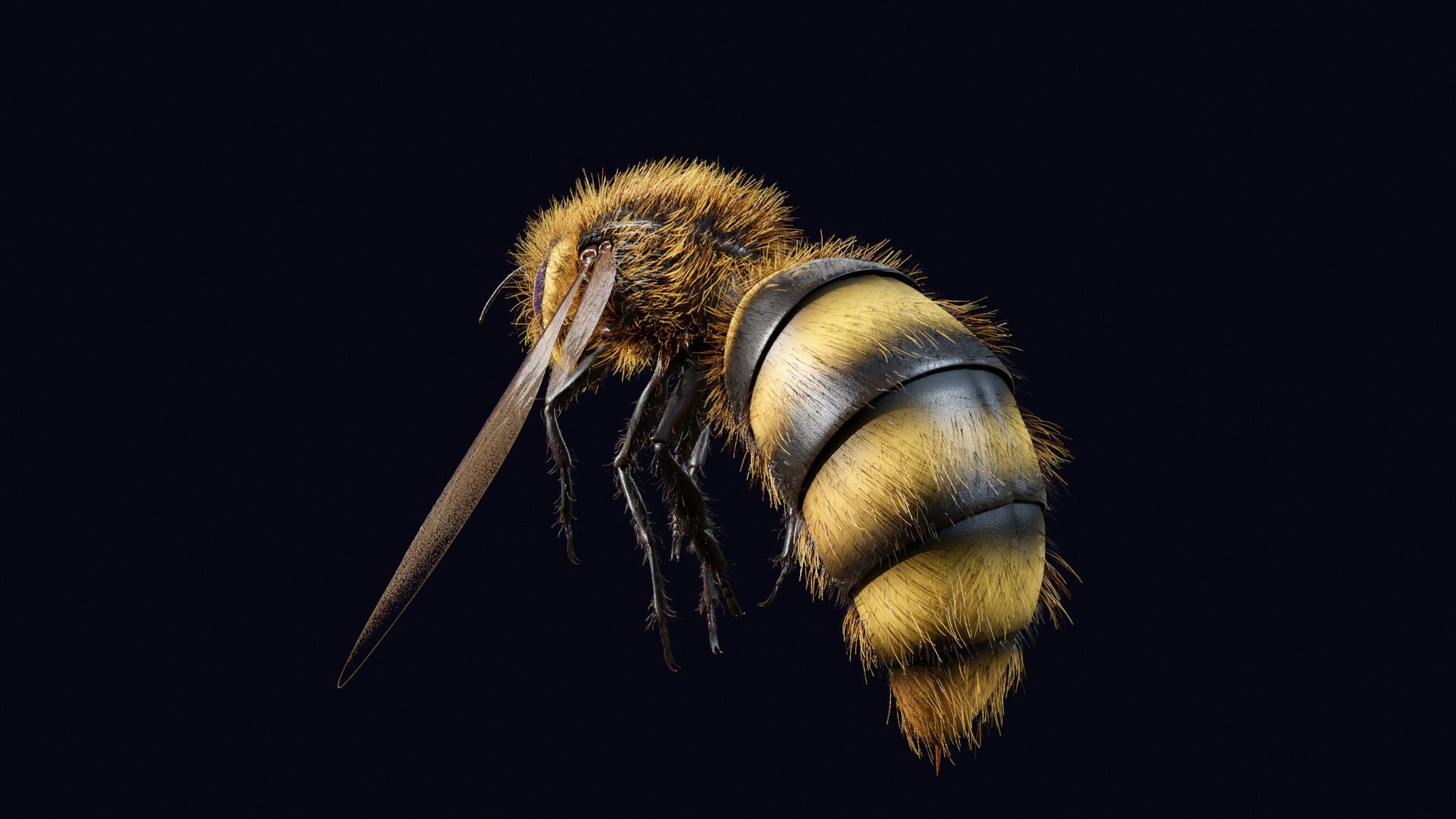 Animated Worker Bee Rig Flight Cycle 4K PBR 3D model_12