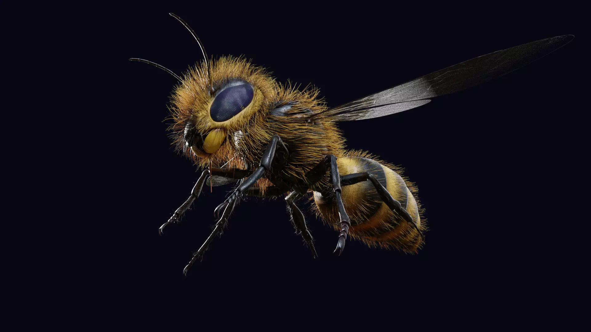 Animated Worker Bee Rig Flight Cycle 4K PBR 3D model_0