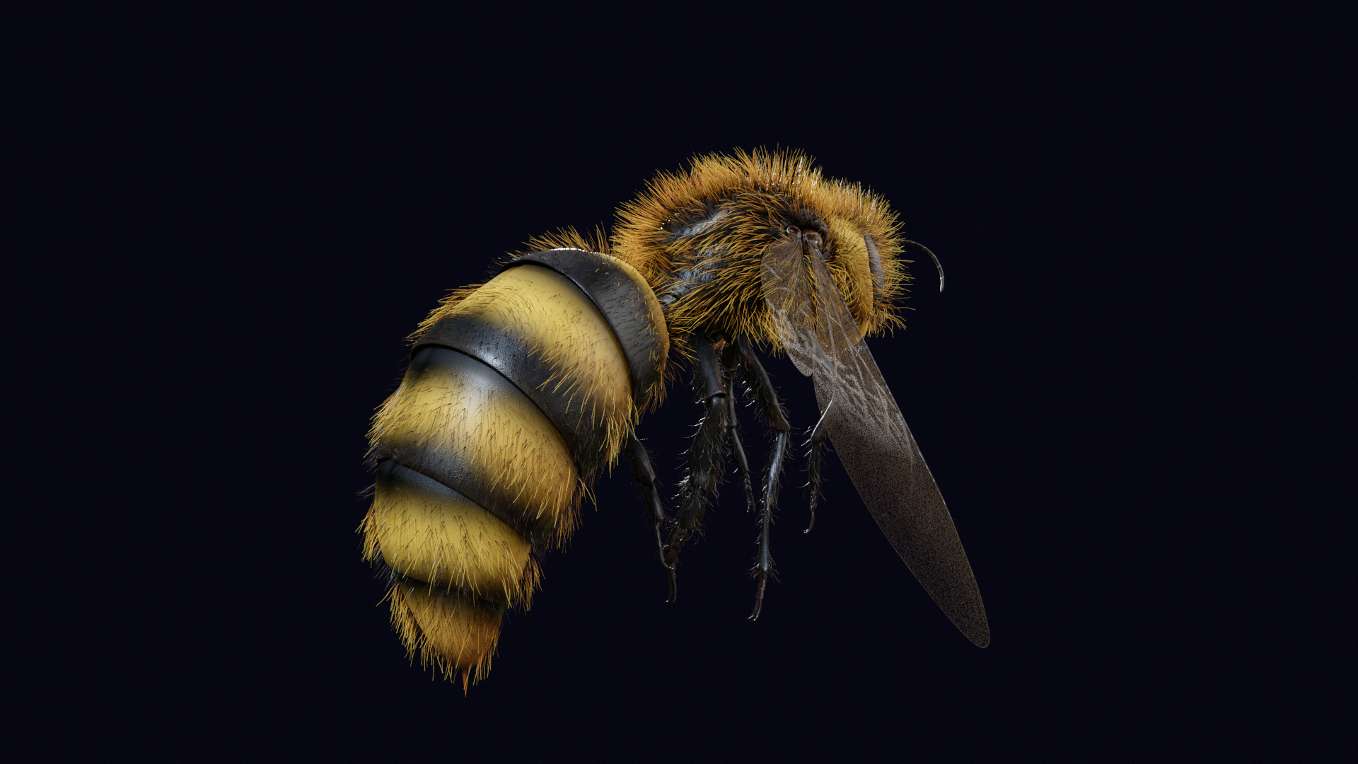 Animated Worker Bee Rig Flight Cycle 4K PBR 3D model_13