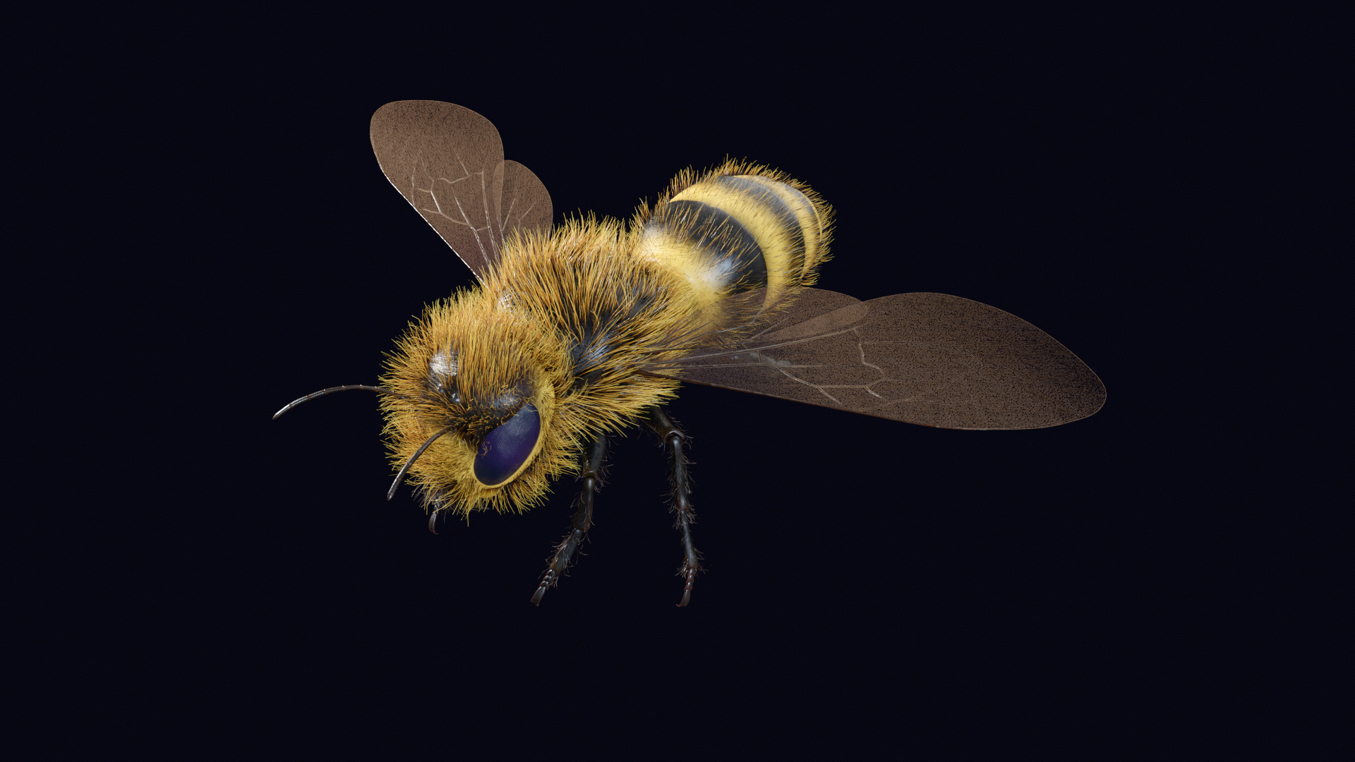 Animated Worker Bee Rig Flight Cycle 4K PBR 3D model_2