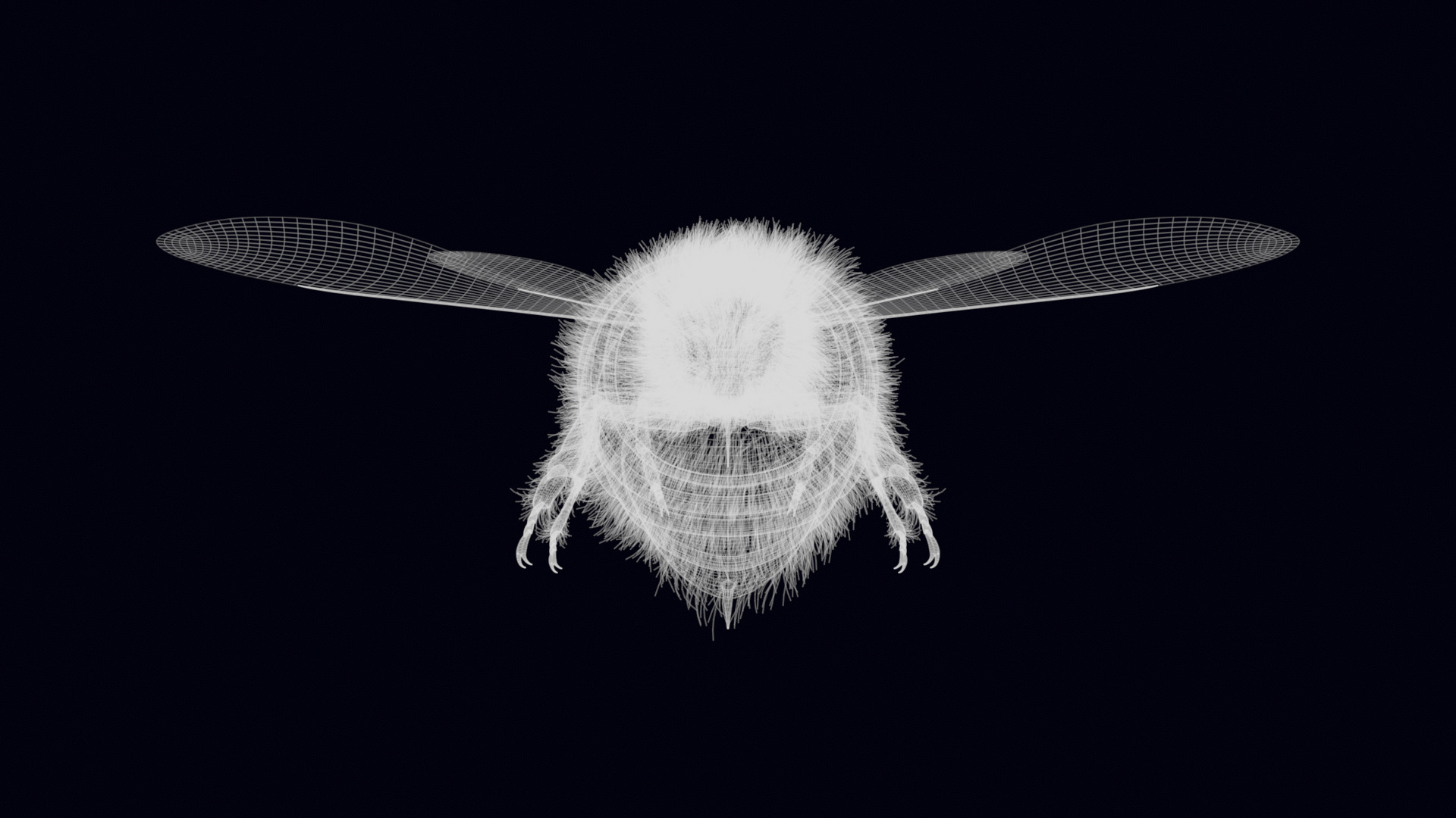 Animated Worker Bee Rig Flight Cycle 4K PBR 3D model_21