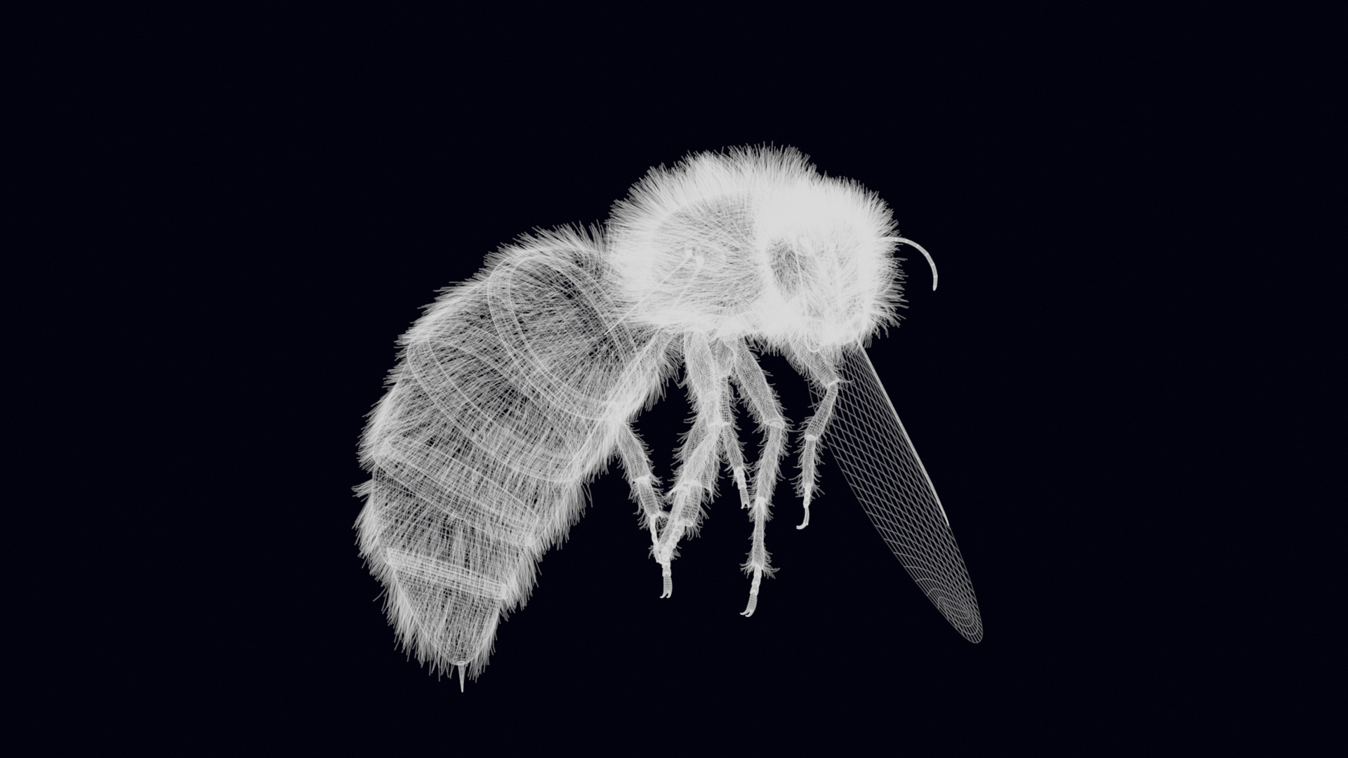 Animated Worker Bee Rig Flight Cycle 4K PBR 3D model_30