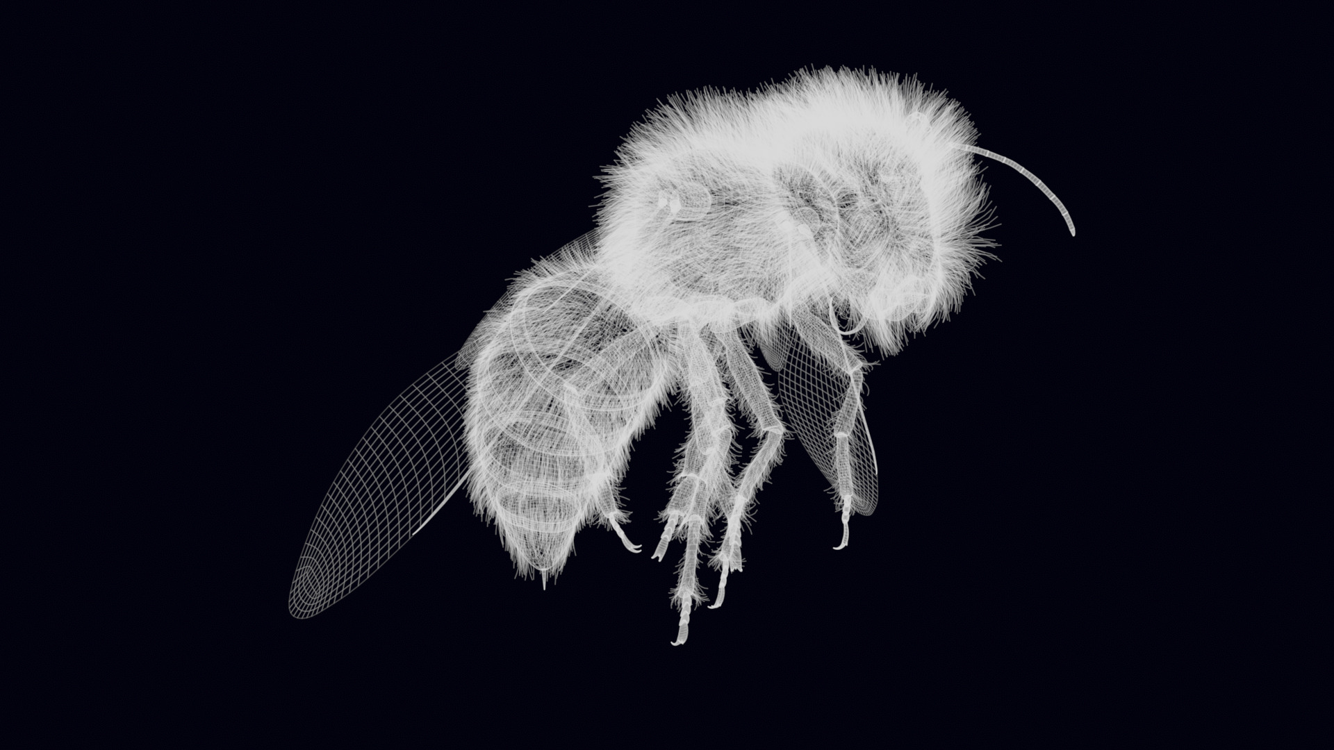 Animated Worker Bee Rig Flight Cycle 4K PBR 3D model_28