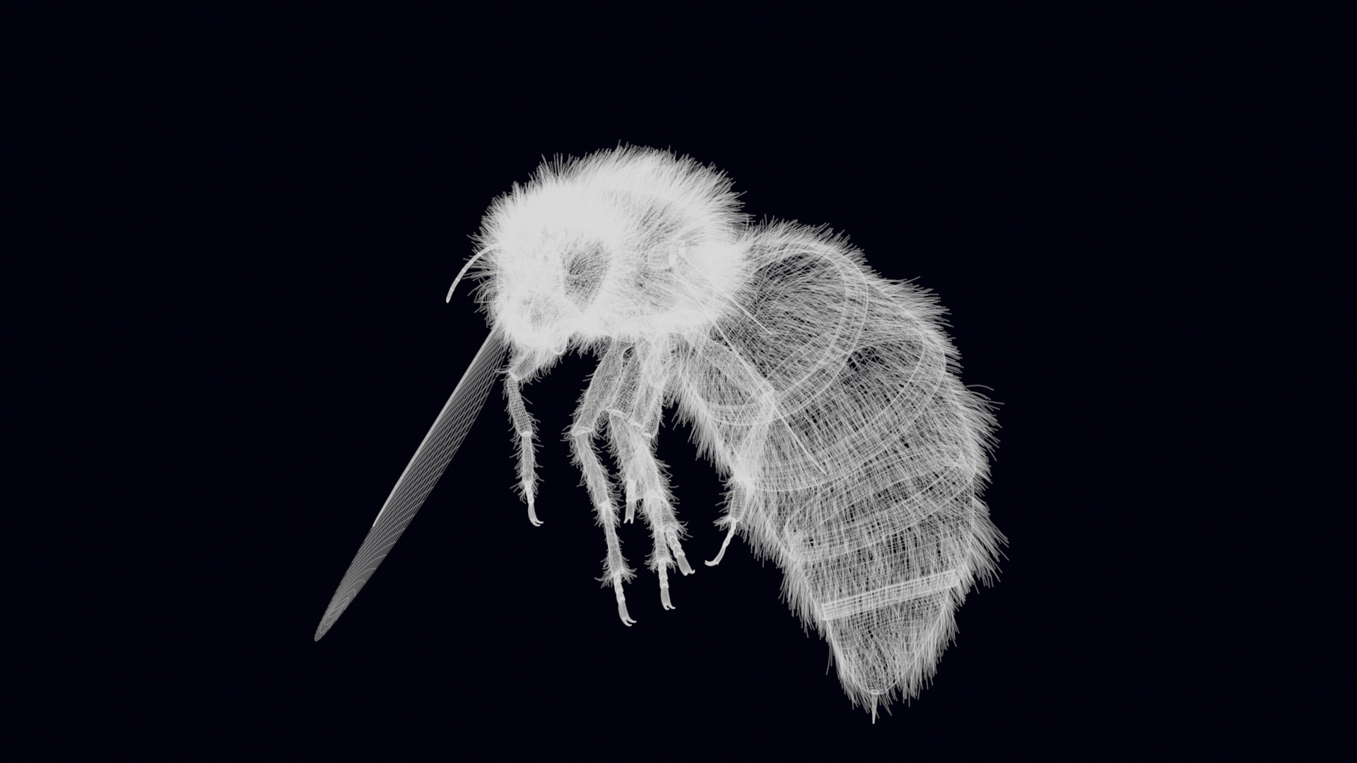 Animated Worker Bee Rig Flight Cycle 4K PBR 3D model_29