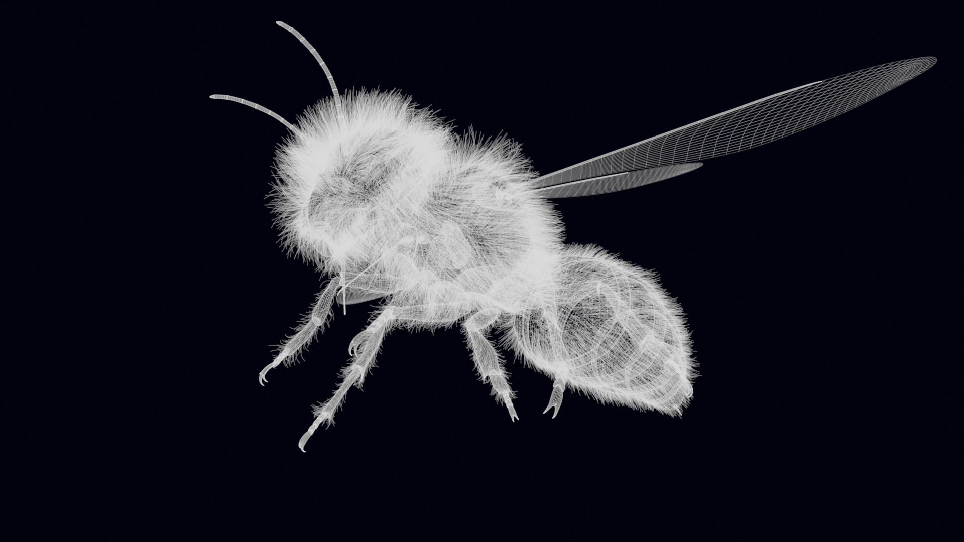 Animated Worker Bee Rig Flight Cycle 4K PBR 3D model_18