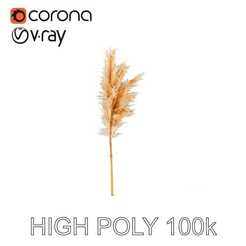 Pampas Grass Model Pack  Realistic Decorative Element Low-poly 3D model