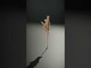 Pampas Grass Model Pack  Realistic Decorative Element Low-poly 3D model_2