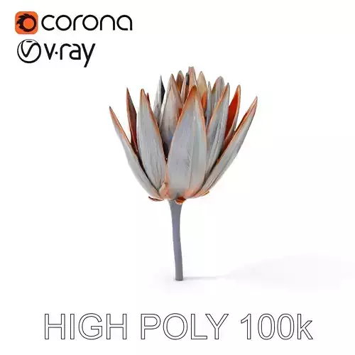 Futuristic Metal Flower Model Pack Low-poly 3D model Futuristic Metal Flower Model Pack Low-poly 3D model