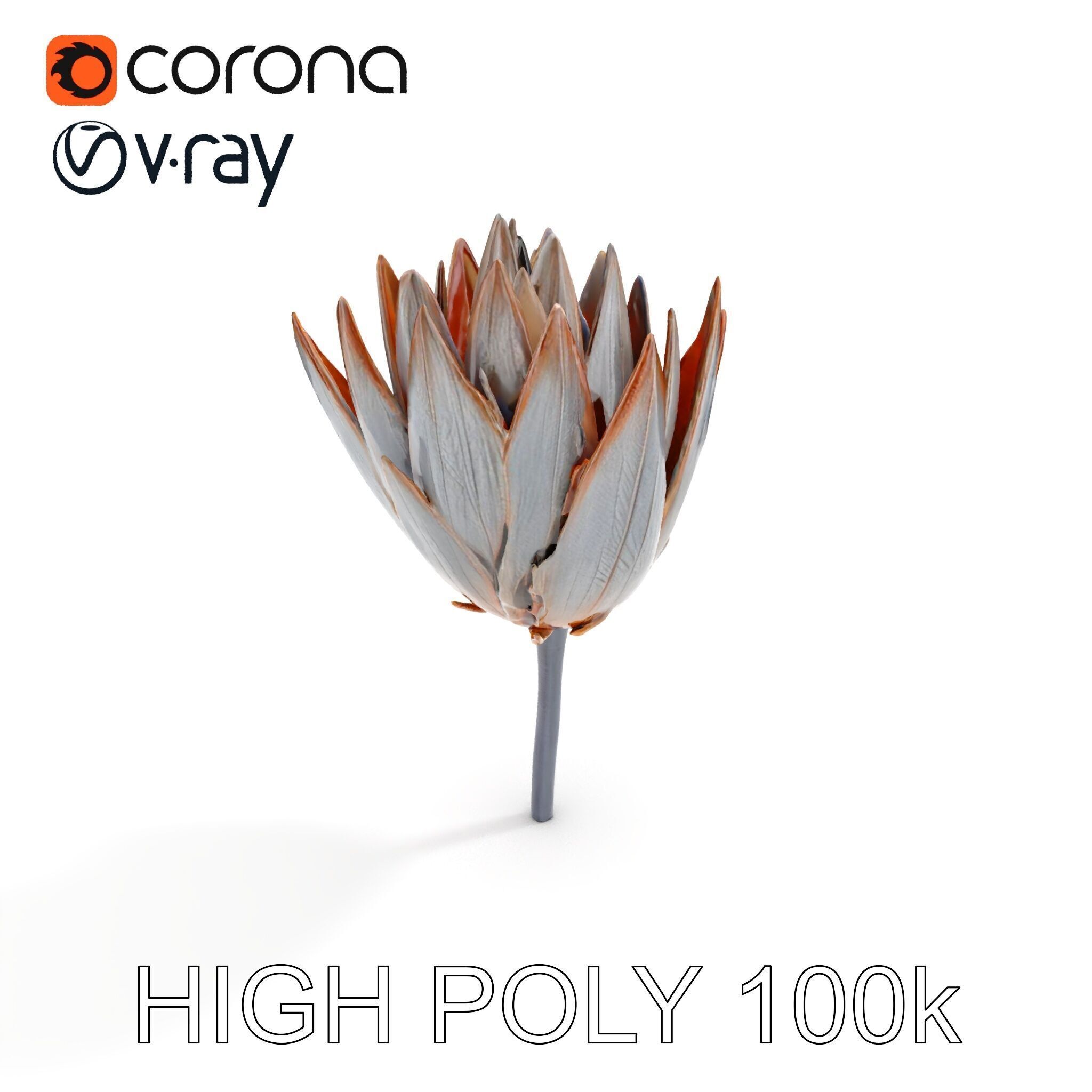 Futuristic Metal Flower Model Pack Low-poly 3D model_16