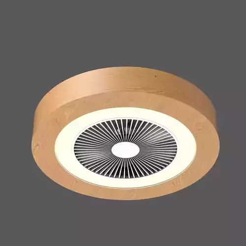 Modern Ceiling Fan with Enclosed Blades