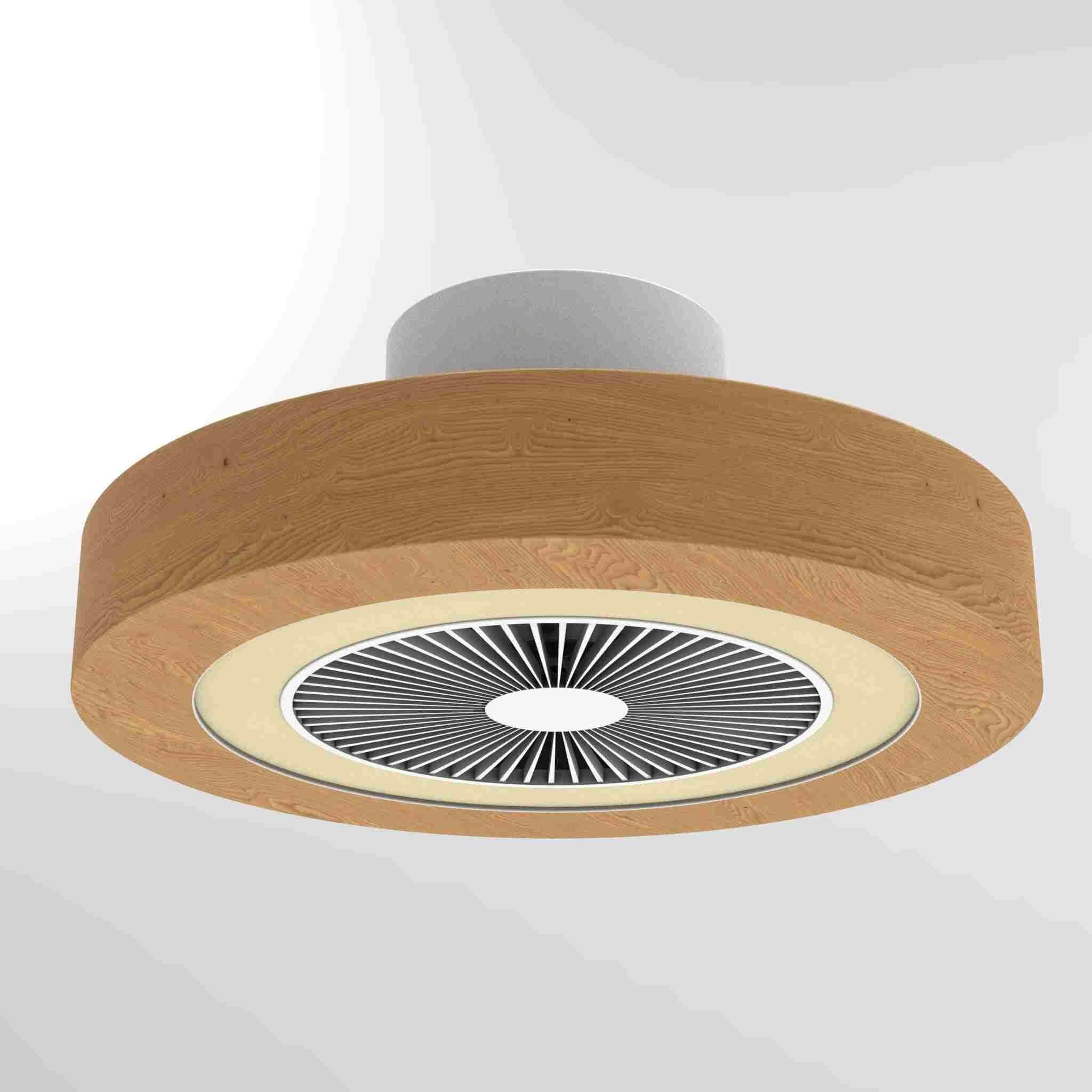 Modern Ceiling Fan with Enclosed Blades 3D model_5