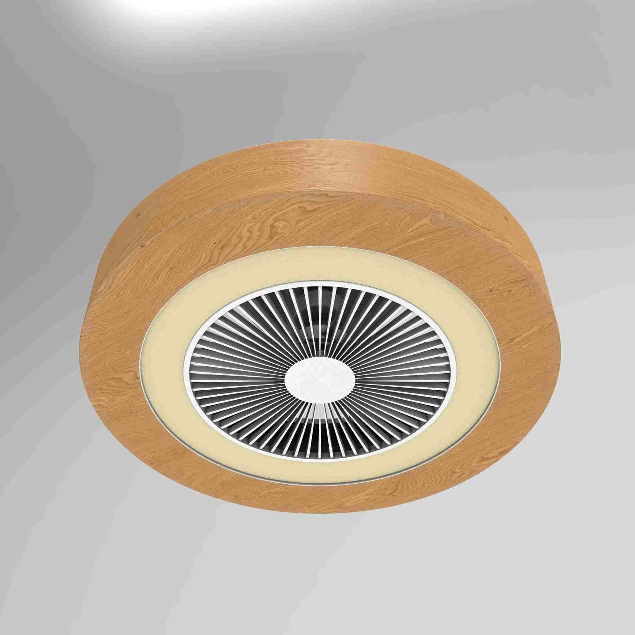 Modern Ceiling Fan with Enclosed Blades 3D model_2