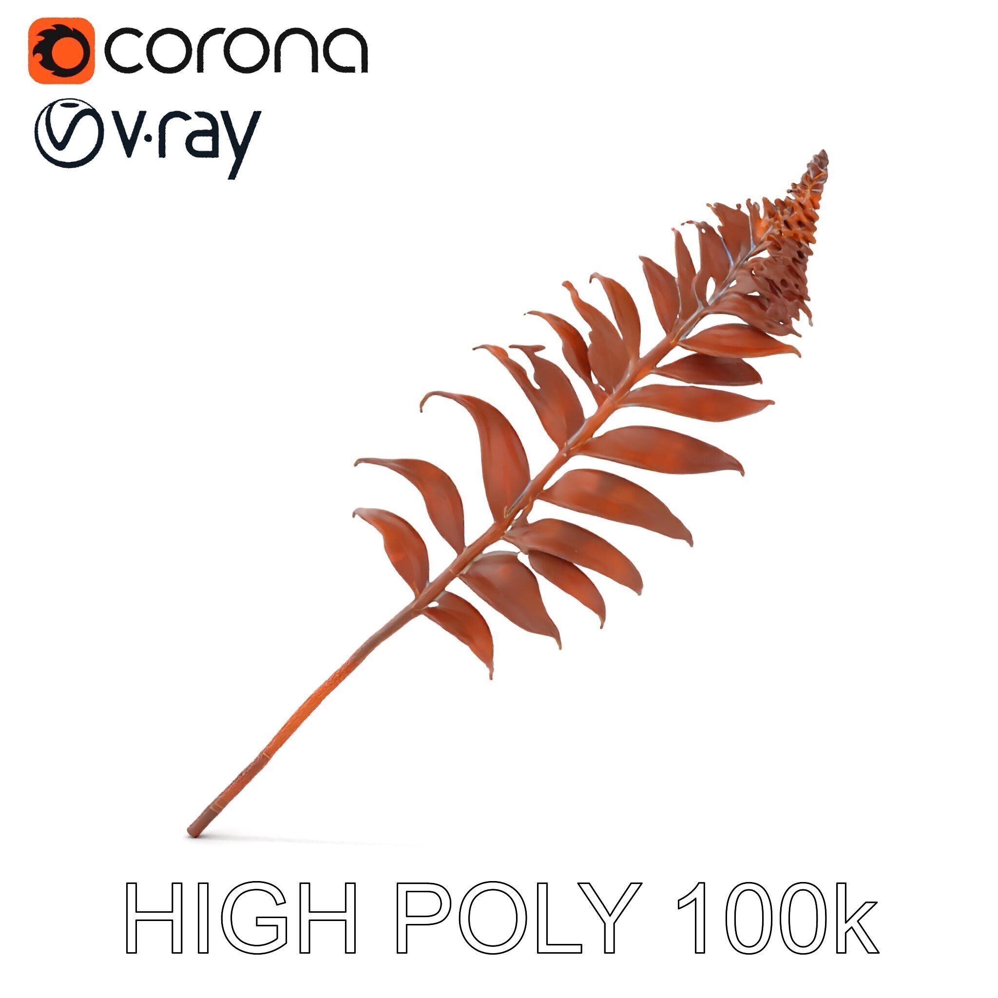 Fern Leaf Model Pack  Detailed Botanical Model for Realistic ... Low-poly 3D model_21