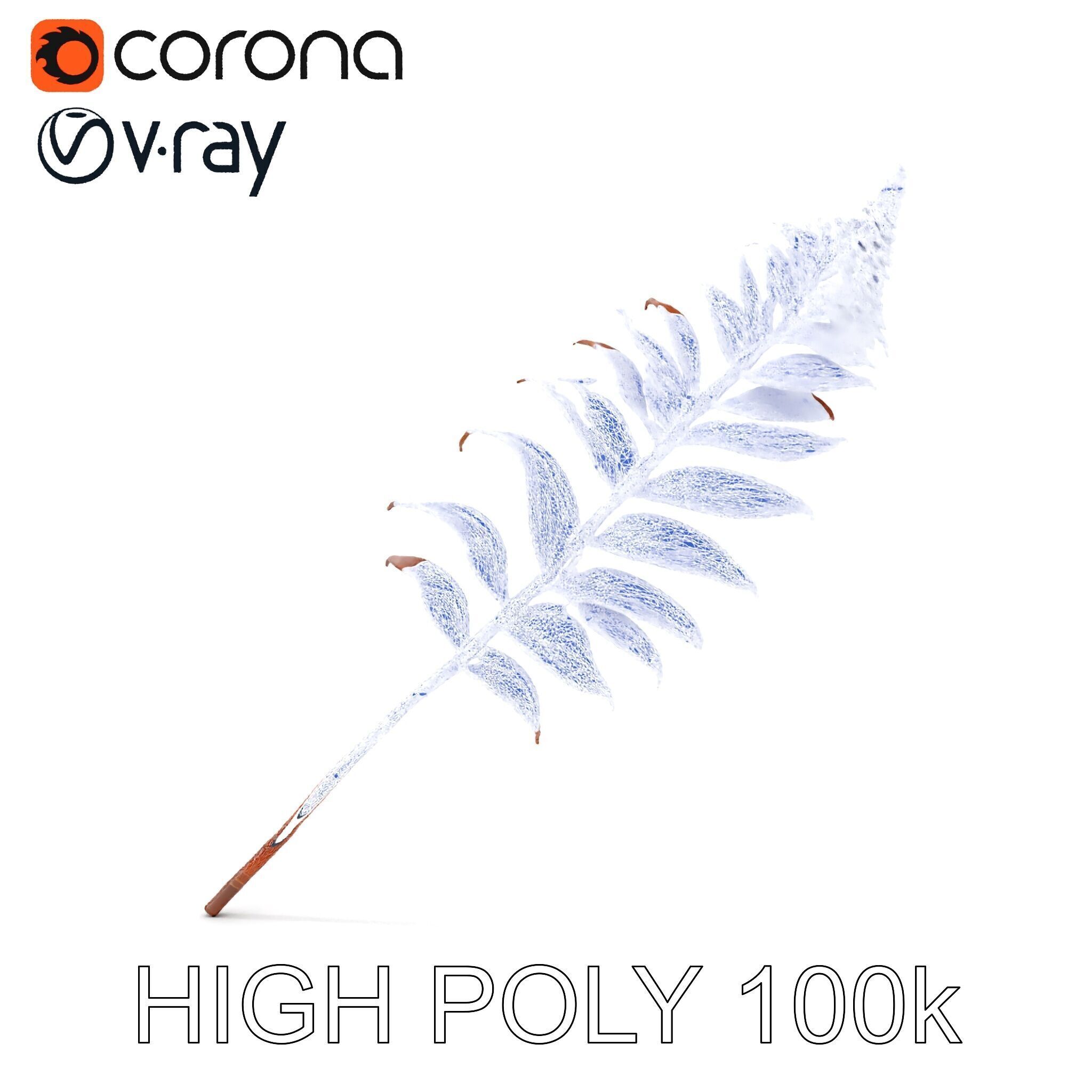 Fern Leaf Model Pack  Detailed Botanical Model for Realistic ... Low-poly 3D model_36