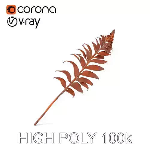 Fern Leaf Model Pack  Detailed Botanical Model for Realistic Renderings