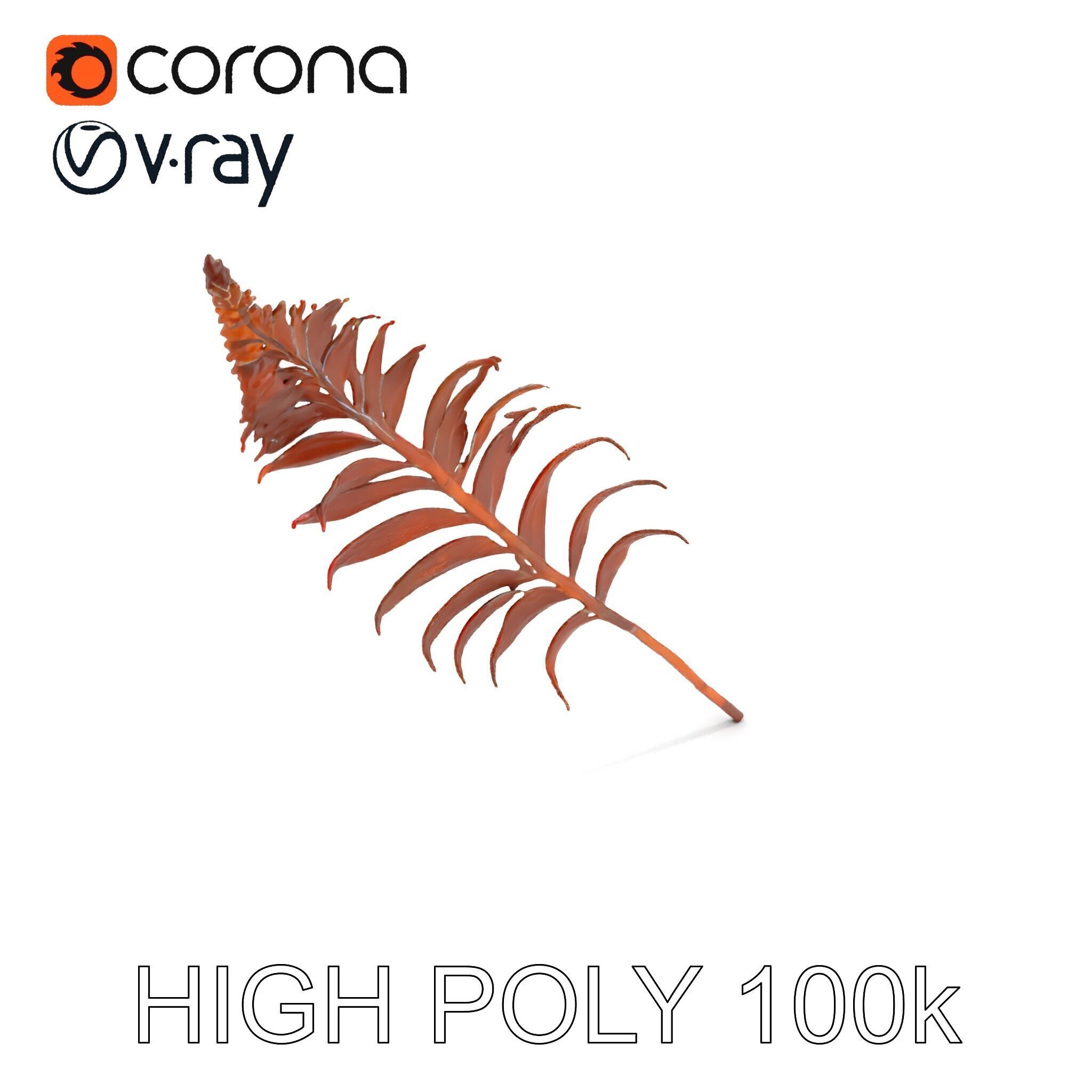 Fern Leaf Model Pack  Detailed Botanical Model for Realistic ... Low-poly 3D model_15