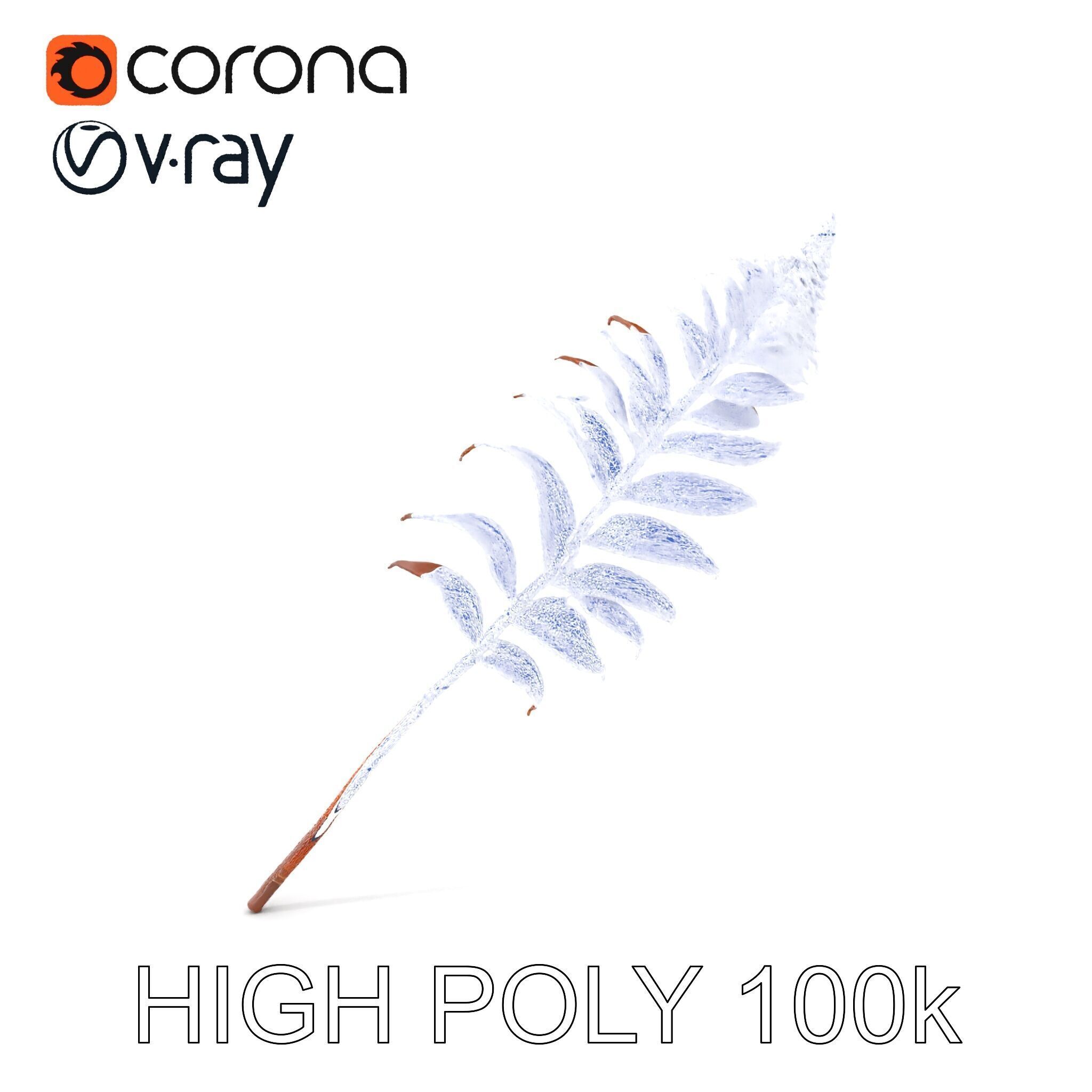 Fern Leaf Model Pack  Detailed Botanical Model for Realistic ... Low-poly 3D model_8