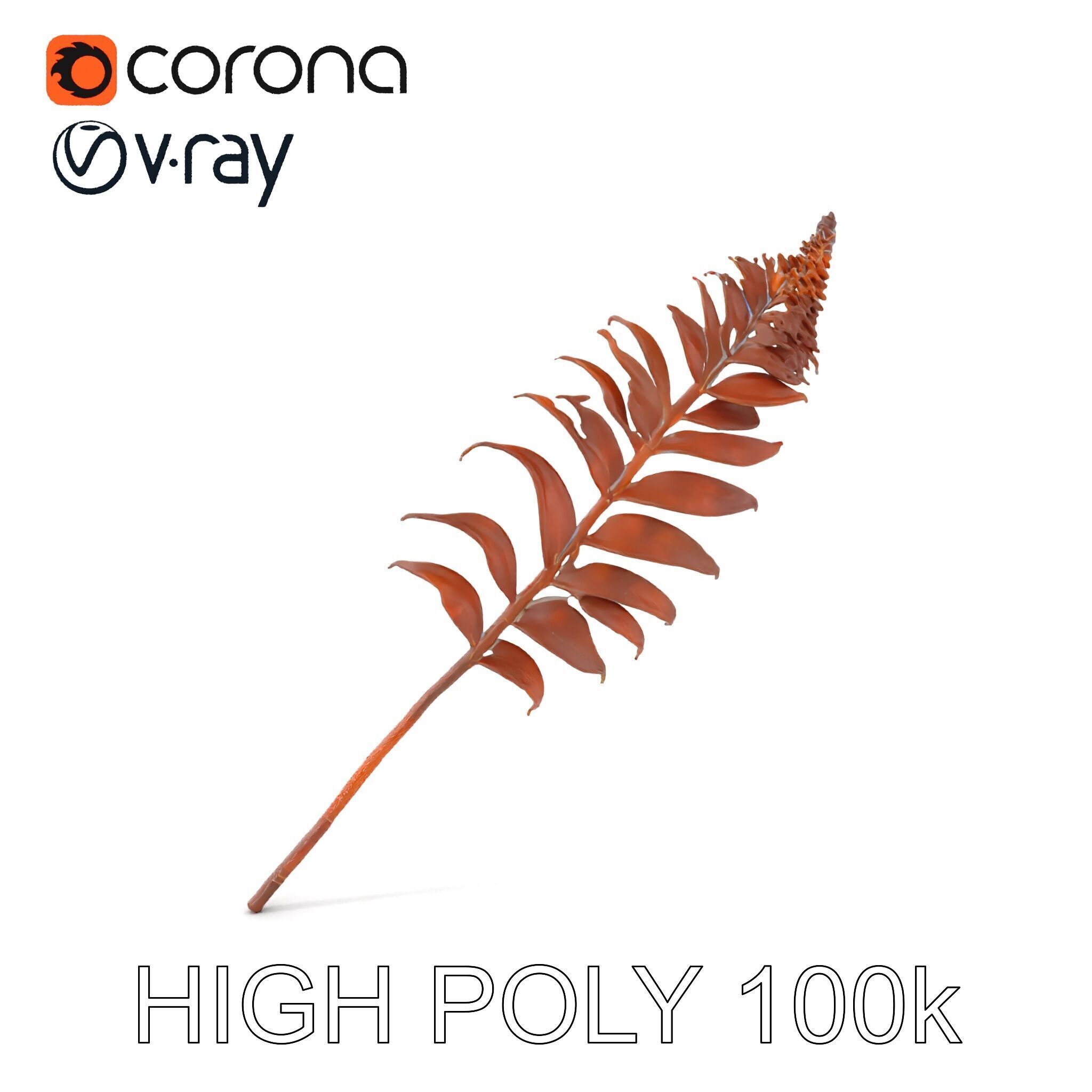 Fern Leaf Model Pack  Detailed Botanical Model for Realistic ... Low-poly 3D model_13