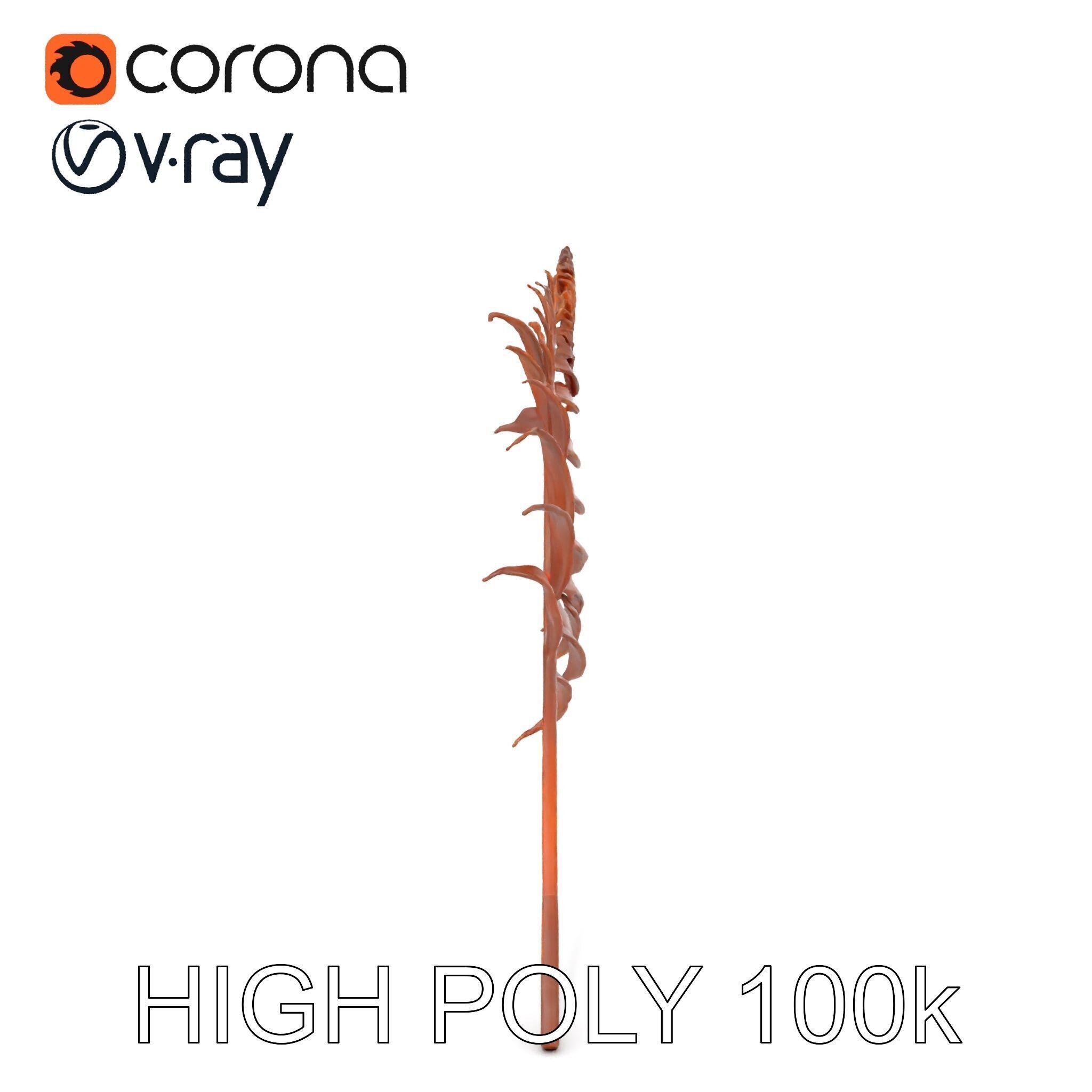 Fern Leaf Model Pack  Detailed Botanical Model for Realistic ... Low-poly 3D model_10