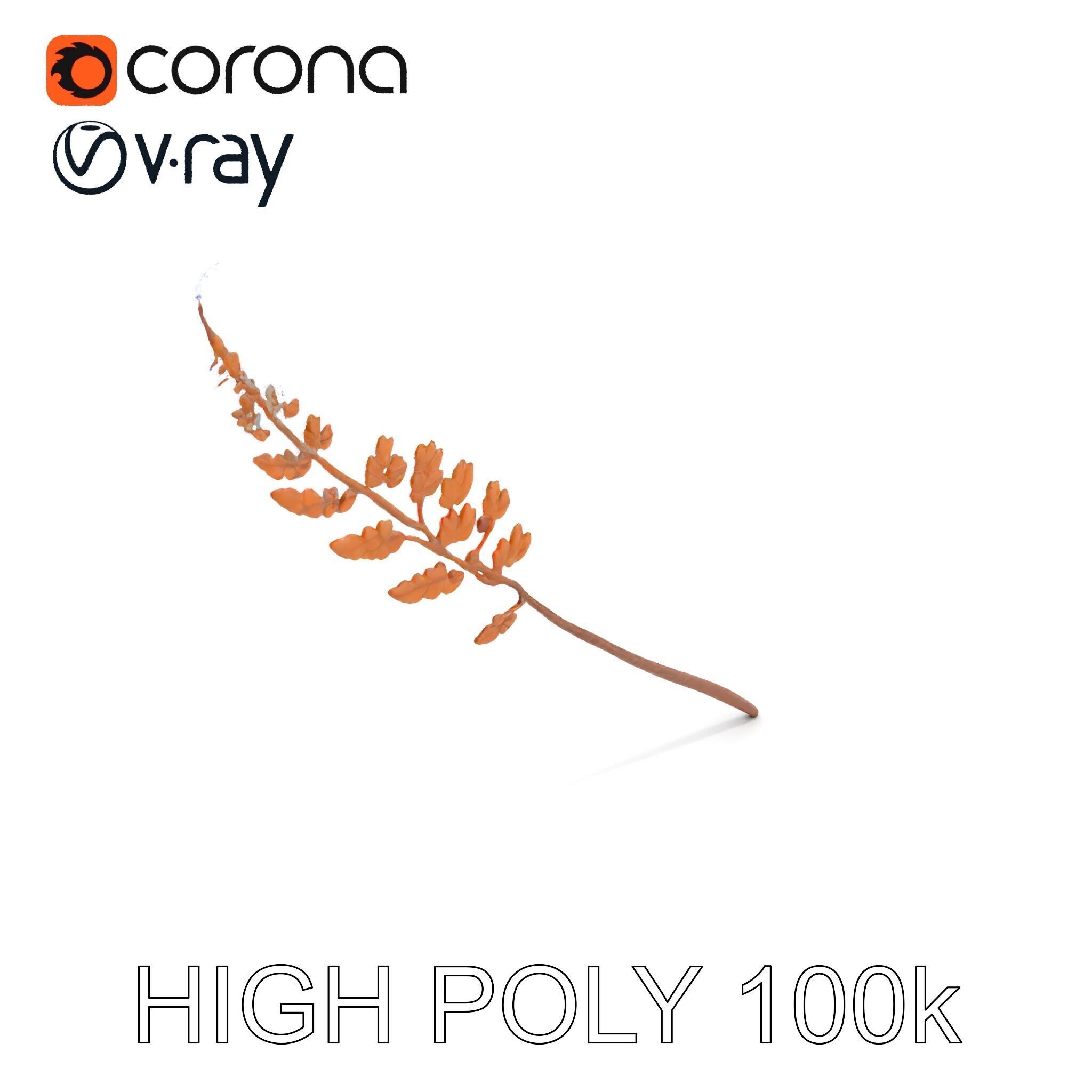 Fern Leaf D Model Pack Low-poly 3D model_19