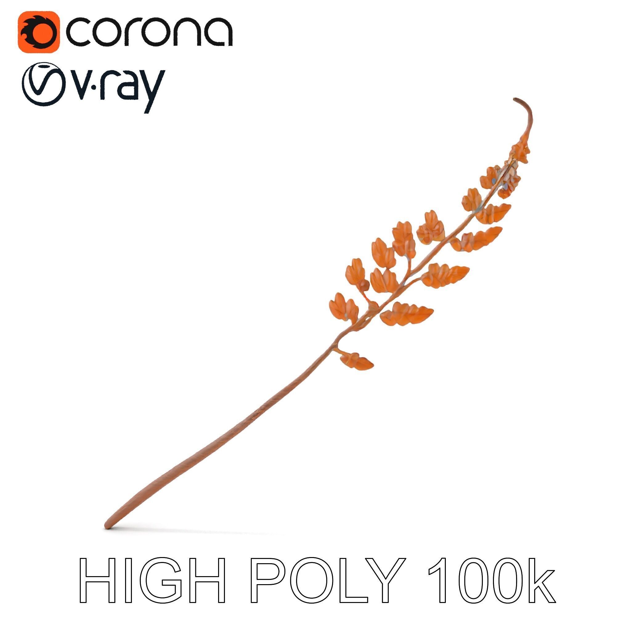 Fern Leaf D Model Pack Low-poly 3D model_16