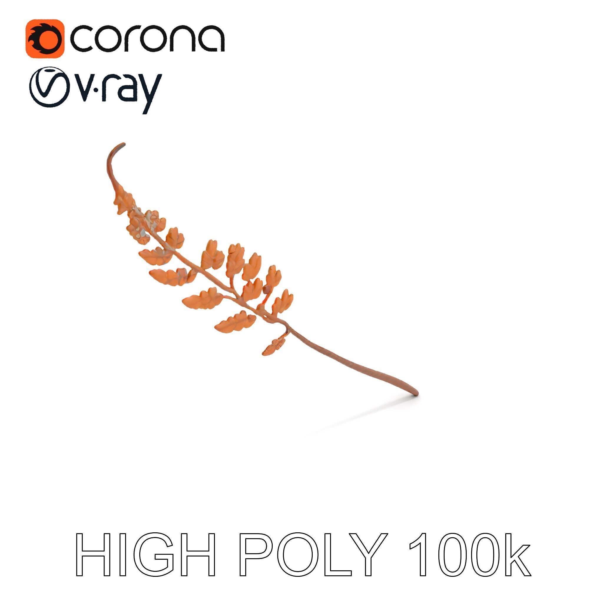 Fern Leaf D Model Pack Low-poly 3D model_13