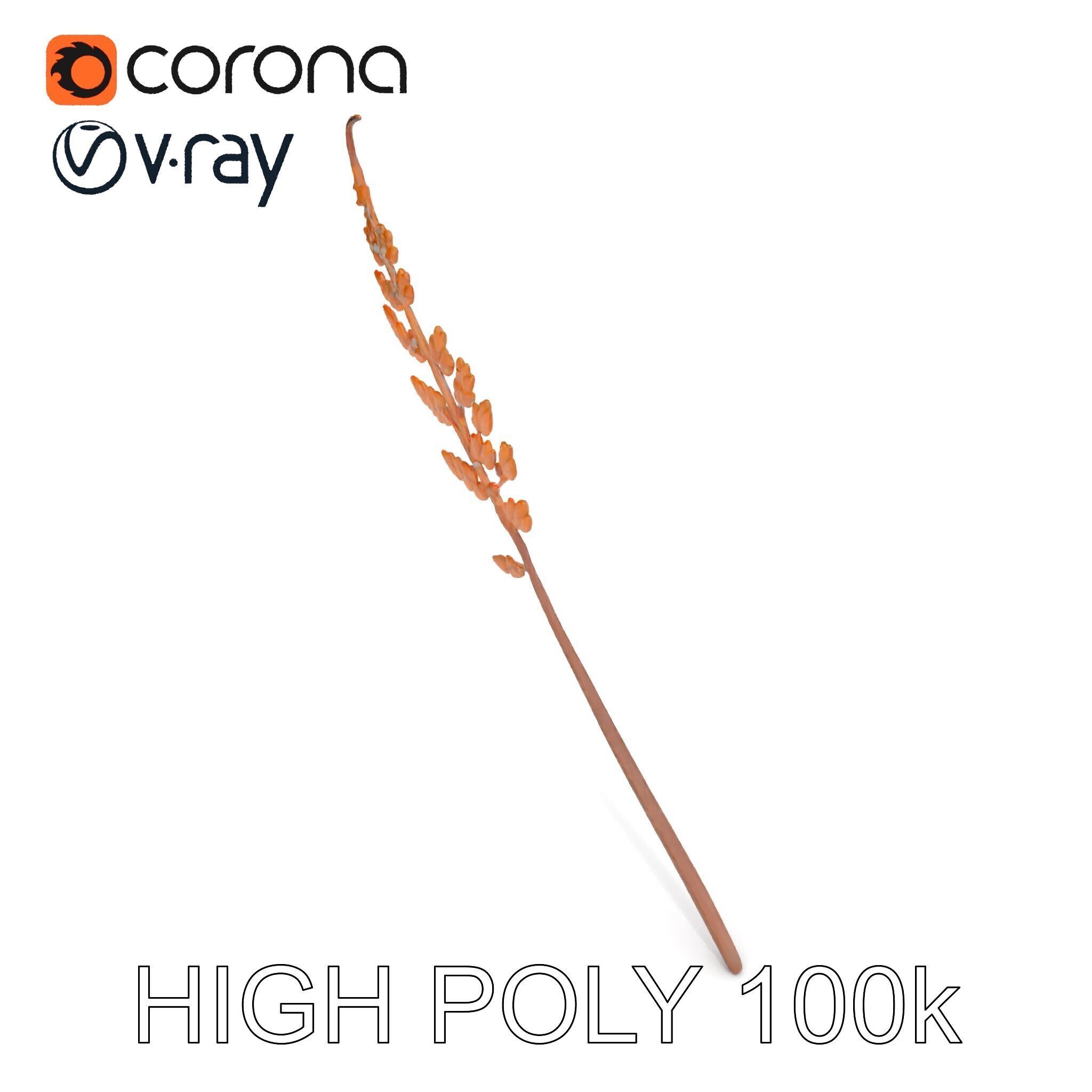 Fern Leaf D Model Pack Low-poly 3D model_32