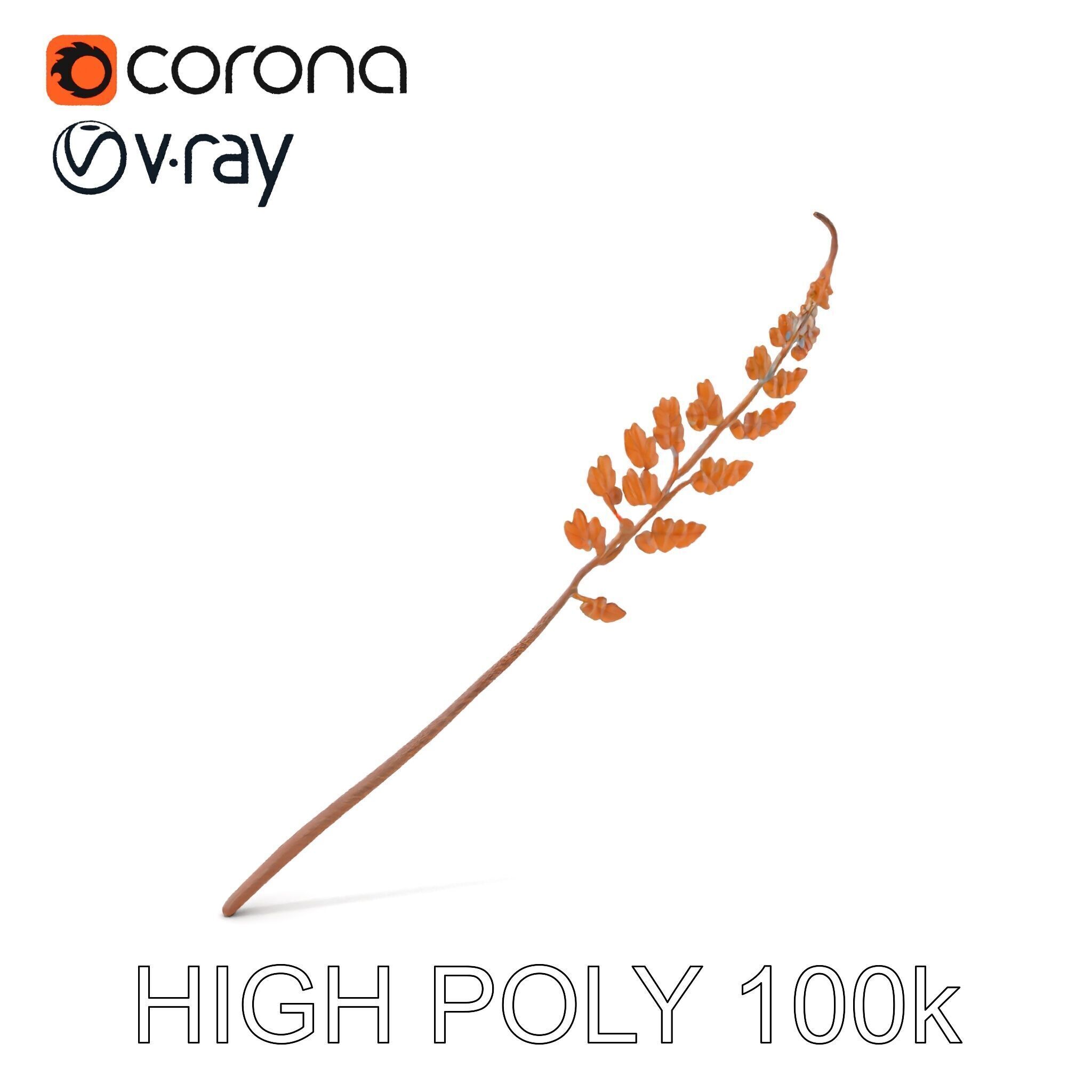 Fern Leaf D Model Pack Low-poly 3D model_21