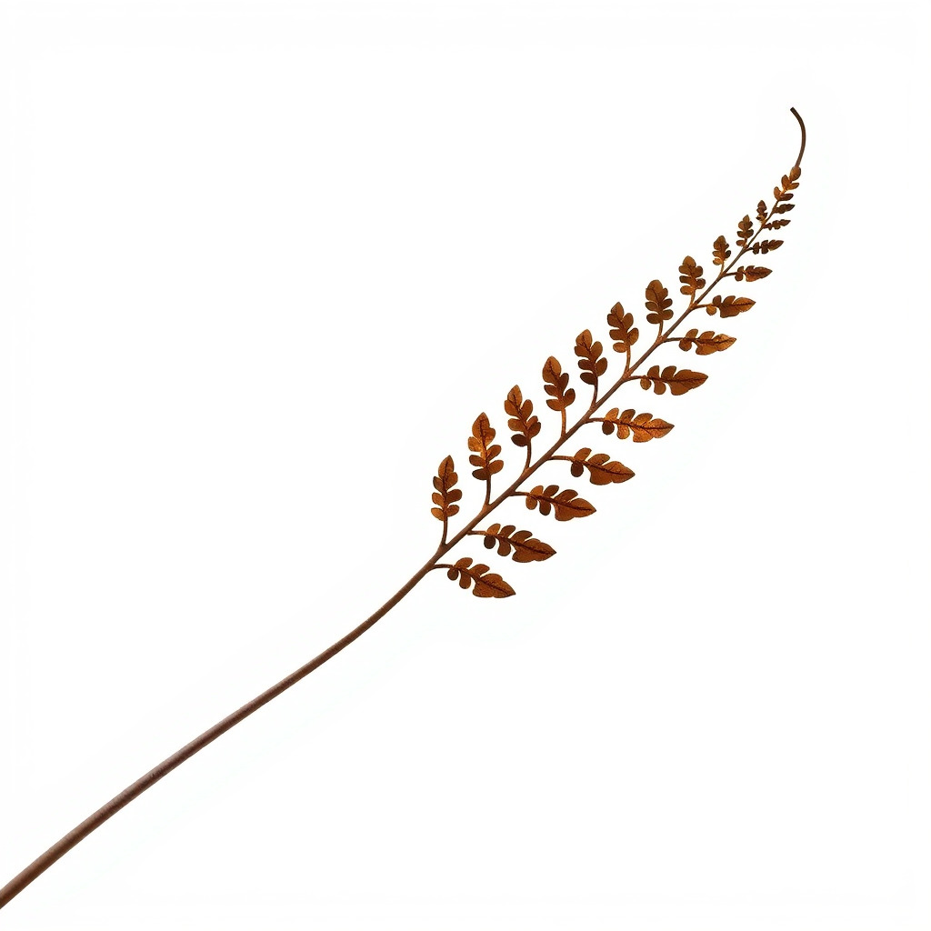 Fern Leaf D Model Pack Low-poly 3D model_3