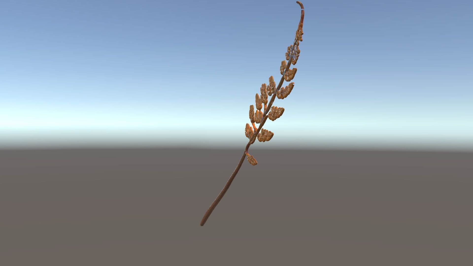 Fern Leaf D Model Pack Low-poly 3D model_35