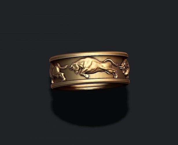 Bull ring 3D print model