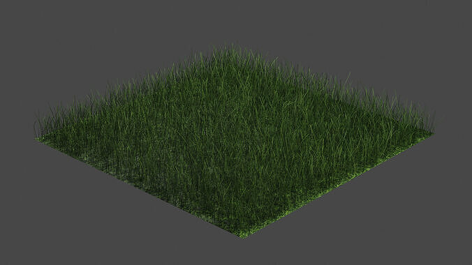 Realistic 3D Grass Pack  PBR Textures  Game Ready   3D model