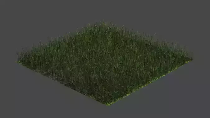 Realistic 3D Grass Pack  PBR Textures  Game Ready  