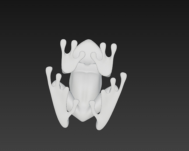 Frog Poisonous Realistic 3D Model - Low Poly Realistic Low-poly 3D model_16