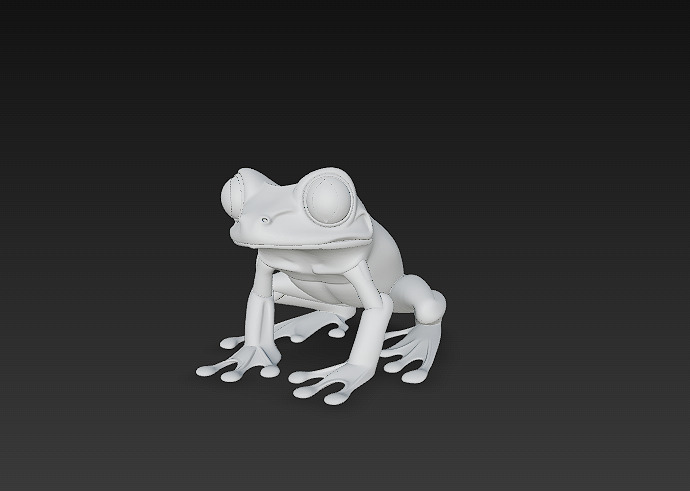 Frog Poisonous Realistic 3D Model - Low Poly Realistic Low-poly 3D model_15