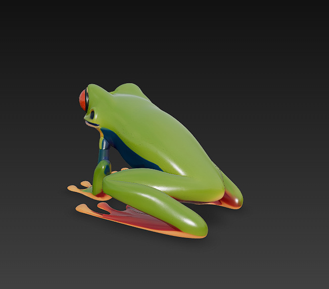 Frog Poisonous Realistic 3D Model - Low Poly Realistic Low-poly 3D model_8