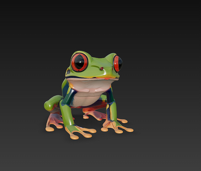 Frog Poisonous Realistic 3D Model - Low Poly Realistic Low-poly 3D model_3
