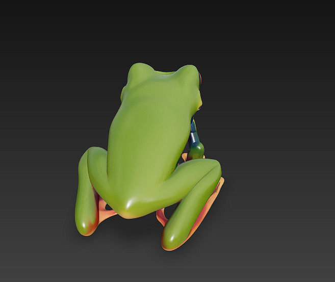 Frog Poisonous Realistic 3D Model - Low Poly Realistic Low-poly 3D model_7