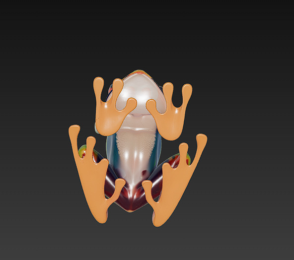 Frog Poisonous Realistic 3D Model - Low Poly Realistic Low-poly 3D model_10