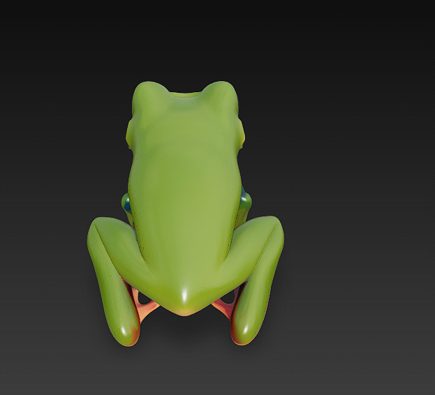 Frog Poisonous Realistic 3D Model - Low Poly Realistic Low-poly 3D model_9