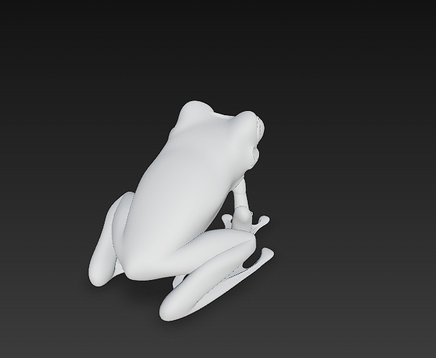 Frog Poisonous Realistic 3D Model - Low Poly Realistic Low-poly 3D model_13