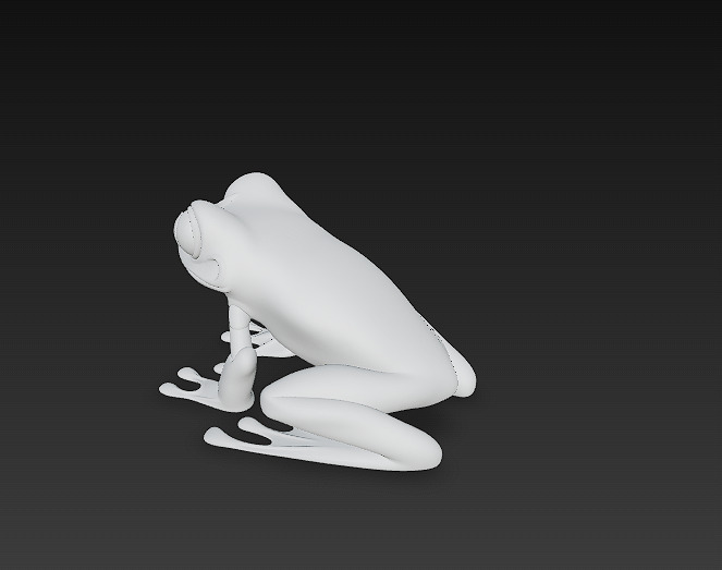 Frog Poisonous Realistic 3D Model - Low Poly Realistic Low-poly 3D model_14