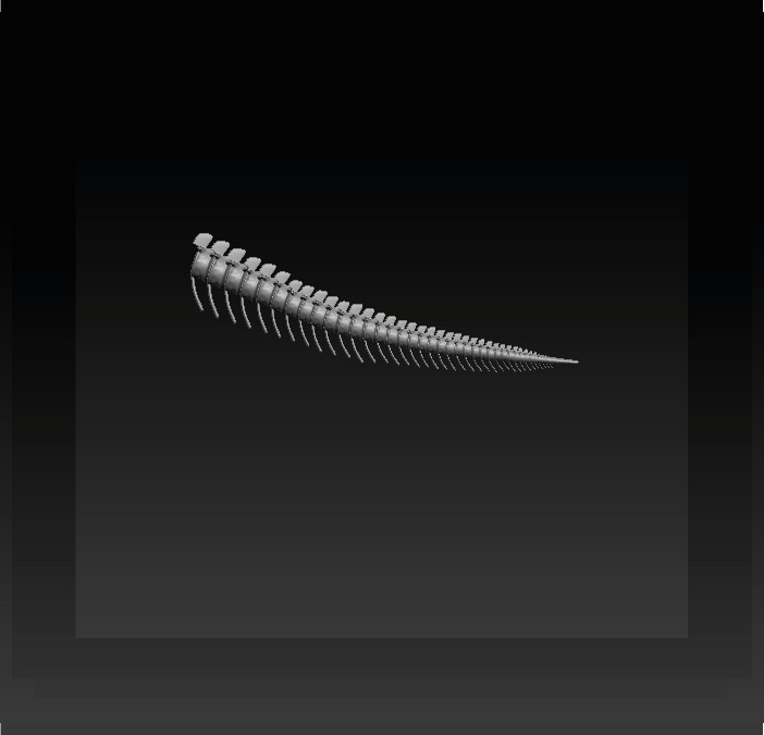 Brachiosaurus Skeleton 3D print model_8