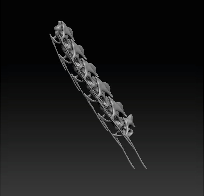 Brachiosaurus Skeleton 3D print model_3