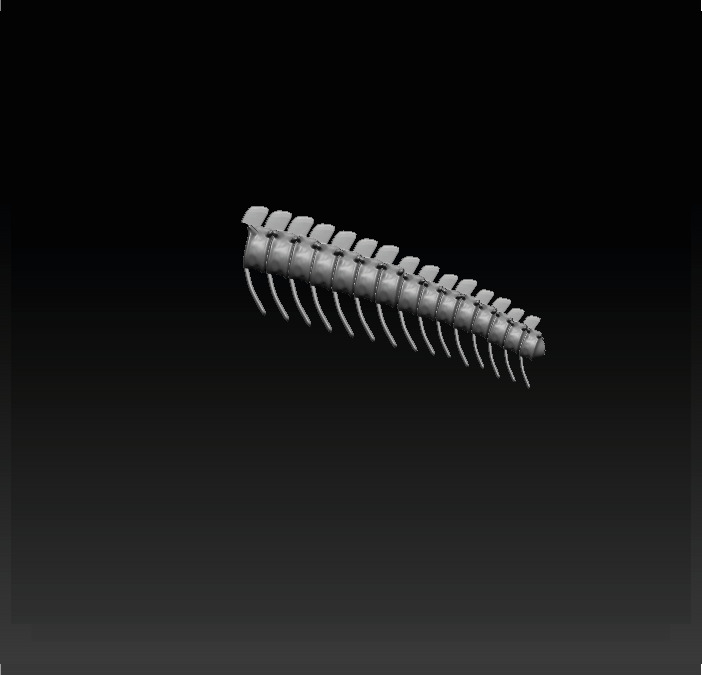 Brachiosaurus Skeleton 3D print model_7