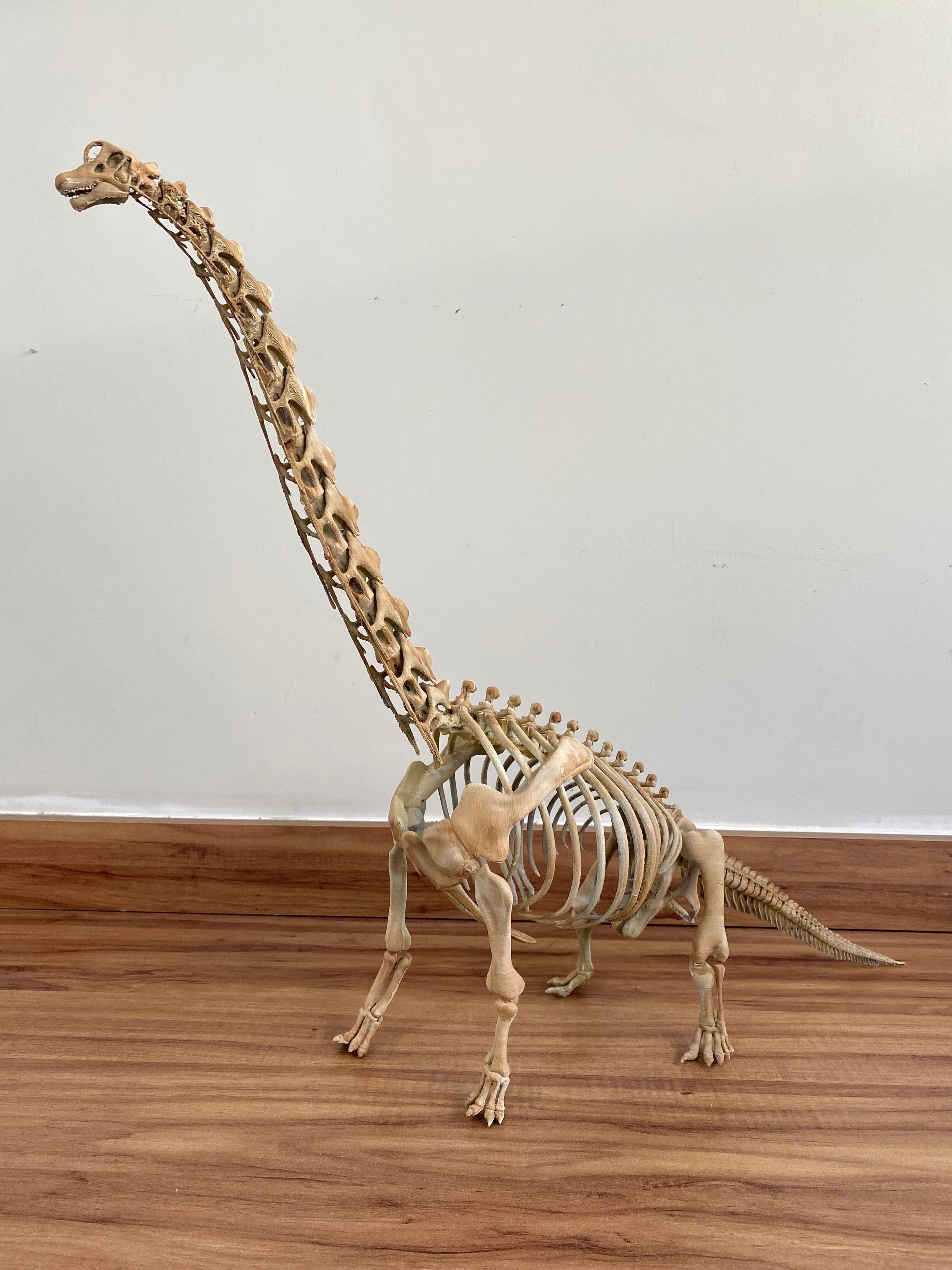 Brachiosaurus Skeleton 3D print model_12